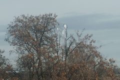 0306211025_HDR-1024x768