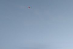 IMG_20210318_064950-1280x2048