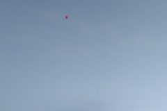 IMG_20210318_064950-960x1536