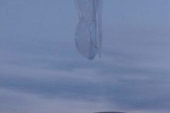 IMG_20210318_065043-768x1024