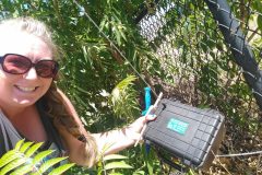 IMG_20210717_114129219-1024x768