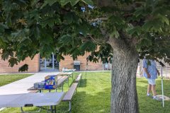 PXL_20240622_170045289-scaled