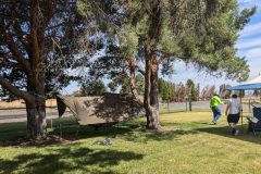 PXL_20240622_170152290-scaled